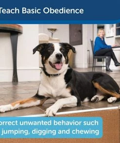 PetSafe Pet Safe 300 Yard Remote Trainer Lite - PDT00-16024 - Dog Collars & Leashes -Pets & Wildlife Sales Store 2efb04d6536e6ba2b6254d1497a2bd8206f98276 70071081 2