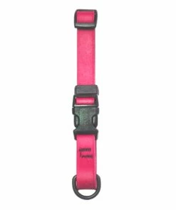 Scott Pet Small/Medium Adjustable Dog Collar, Pink - 1747PK - Dog Collars & Leashes