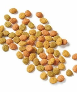 Purina Cat Chow Indoor Hairball + Healthy Weight Adult Dry Cat Food, 6.3 lb. Bag -Pets & Wildlife Sales Store 2fd6932f9d91ef63fb262095786f98548e48901c 42040126 12