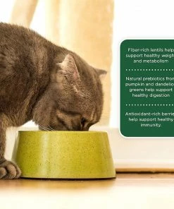 Rachael Ray Nutrish Super Premium Indoor Complete Chicken with Lentils & Salmon Dry Cat Food, 6 lb. Bag 13 Rachael Ray Nutrish Super Premium Indoor Complete Chicken with Lentils & Salmon Dry Cat Food, 6 lb. Bag -Pets & Wildlife Sales Store 30debb63befa3c176a7389858b173f468b2cc271 11022204 5