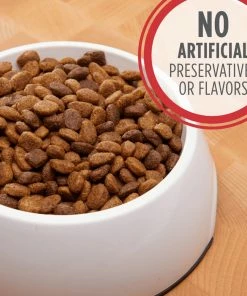 Iams Minichunks Lamb & Rice Recipe, 30 lb. Bag - Dry Dog Food 11 Iams Minichunks Lamb & Rice Recipe, 30 lb. Bag - Dry Dog Food -Pets & Wildlife Sales Store 3124e364d72baeaa1f6ccc810127569d17c9ee26 10951547 4