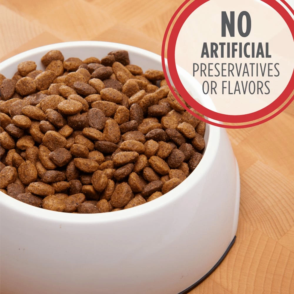 Iams Minichunks Lamb & Rice Recipe, 30 lb. Bag - Dry Dog Food 6 Iams Minichunks Lamb & Rice Recipe, 30 lb. Bag - Dry Dog Food - Image 4