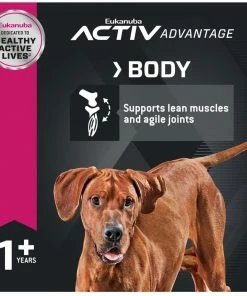 Eukanuba™ Puppy Large Breed Dry Dog Food, 30 lb. Bag