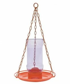 Woodstream Perky-Pet Oriole Jelly Feeder - 253 - Wild Bird Feeders