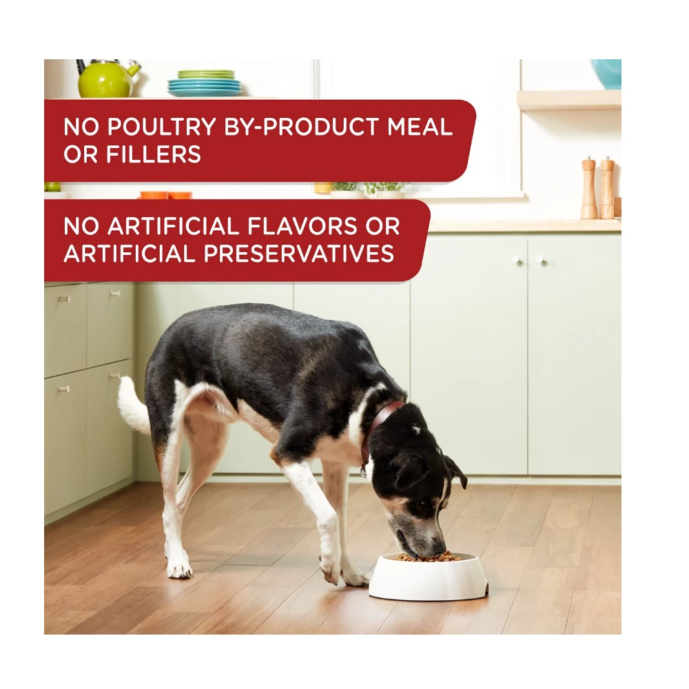 Rachael Ray Nutrish Real Beef & Pumpkin Recipe, Wet Dog Food,13 oz. Can 6 Rachael Ray Nutrish Real Beef & Pumpkin Recipe, Wet Dog Food,13 oz. Can - Image 4