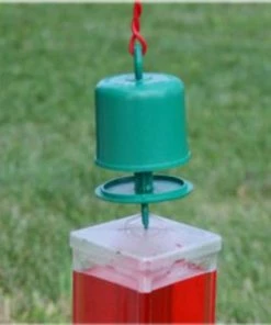 Perky Pet Ant Guard for Permethrin for Hummingbird Feeder - 245L -Pets & Wildlife Sales Store 32c4e93d34fb1d19a1e0aade77a066b52b1baf32 41i2v9zpiil. aa300 1