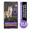 NESTLE PURINA PETCARE CO Purina Pro Plan Active High Protein Dog Food, Sport 27/17 Chicken & Rice Formula, 37.5 lb. Bag - Dry Dog Food
