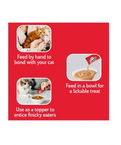 Hartz Delectable Squeeze up Cat Treat, Tuna & Shrimp, 4 Count - Cat Treats -Pets & Wildlife Sales Store 3342826809b1dba004f239d23c1dc23bf13844e2 2022016809 3