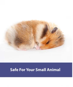 Kaytee Clean & Cozy Natural Small Animal Pet Bedding, 72 Liters - 100533037 - Accessories -Pets & Wildlife Sales Store 336d9118f30b05e00c45075c24c2072f525b47d0 14583099 3