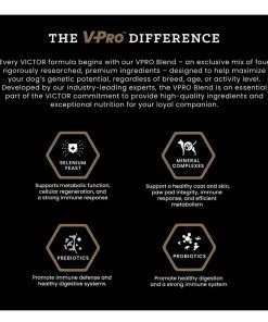 Victor Chicken Meal and Brown Rice Formula Dry Dog Food, 40 lb. Bag -Pets & Wildlife Sales Store 33d319ddcaf0dcec0a81d39335f208b595b3e116 8943002 7