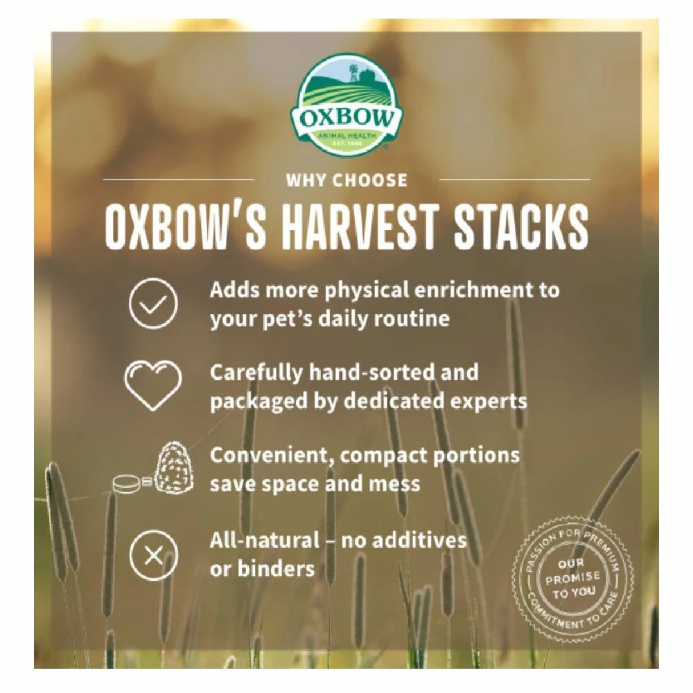 Oxbow Harvest Stacks - Western Timothy, 35 oz. - Small Animal Feed & Treats 6 Oxbow Harvest Stacks - Western Timothy, 35 oz. - Small Animal Feed & Treats - Image 4