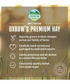 Oxbow Alfalfa Hay for Small Animals, 9 lb. - Small Animal Feed & Treats -Pets & Wildlife Sales Store 3777d8c048624f16749bef4300a3037c8cf1c026 667980003 6