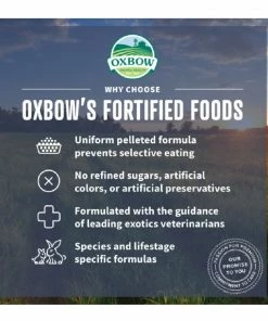 Oxbow Simple Harvest Adult Guinea Pig Food, 4 lb. Bag - Small Animal Feed & Treats -Pets & Wildlife Sales Store 37d169436f627b37403967dfe1f743b36514e3cc 667980011 5