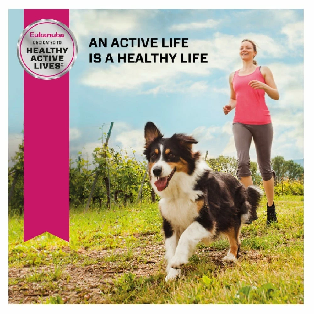 Eukanuba Adult Medium Breed Chicken Formula Dry Dog Food, 16 lb. Bag 8 Eukanuba Adult Medium Breed Chicken Formula Dry Dog Food, 16 lb. Bag - Image 6