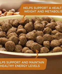 Rachael Ray Nutrish Real Turkey, Brown Rice & Venison Recipe Premium Dry Dog Food, 5.5 lb. Bag -Pets & Wildlife Sales Store 3a11a00f907243747d2016aa7525a2780e4d9ba8 11022254 5