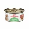 Royal Canin Digest Sensitive Thin Slices in Gravy Wet Cat Food, 3oz. Can -Pets & Wildlife Sales Store 3c80445021b4dc1da185c622579248fdd1b78734 55682068