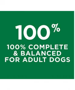 NESTLE PURINA PETCARE CO Purina Dog Chow Complete Adult Chicken Dry Dog Food, 46 lb. Bag -Pets & Wildlife Sales Store 3d0865c3e2e5bd4e297dc90c01857a8123fb008a 2022019311 2