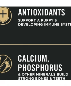 Purina Pro Plan FOCUS Chicken & Rice Formula Dry Puppy Food, 34 lb. Bag - Dog Food 9 Purina Pro Plan FOCUS Chicken & Rice Formula Dry Puppy Food, 34 lb. Bag - Dog Food -Pets & Wildlife Sales Store 3f13bd3ba17c3f5a87cbeeffd68c784caddf3817 42041373 3