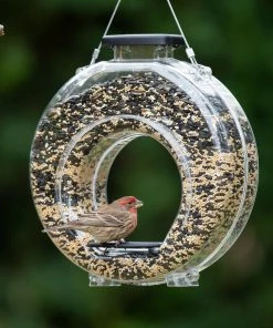 More Birds Canteen Hopper Bird Feeder - 38236 - Wild Bird Feeders 7 More Birds Canteen Hopper Bird Feeder - 38236 - Wild Bird Feeders -Pets & Wildlife Sales Store 3f621293796521559aa8495e61e64e13872b52c6 146330011 alt2