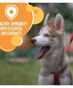 Iams ProActive Health Smart Puppy Large Breed Dry Dog Food, 30.6 lb. Bag 19 Iams ProActive Health Smart Puppy Large Breed Dry Dog Food, 30.6 lb. Bag -Pets & Wildlife Sales Store 3fbbd1e395e86b0c01d491cb5b25ef218fa2962d 10951563 9