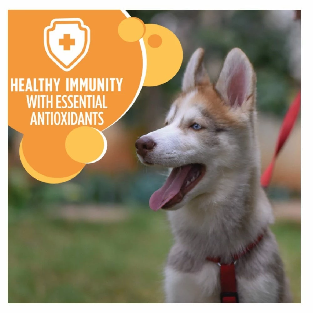 Iams ProActive Health Smart Puppy Large Breed Dry Dog Food, 30.6 lb. Bag 11 Iams ProActive Health Smart Puppy Large Breed Dry Dog Food, 30.6 lb. Bag - Image 9