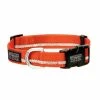 Terrain D.O.G. Reflective Snap-N-Go Adjustable Dog Collar, Large, Orange - 07-0857-R3 - Dog Collars & Leashes