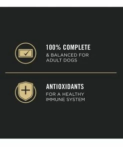 NESTLE PURINA PETCARE CO Purina Pro Plan Sport High Protein Beef & Bison Entrée Wet Dog Food, 13 oz. Can -Pets & Wildlife Sales Store 41e9d08b06c85a8a7962d969c73e47b6ffc6990e 35200614 5