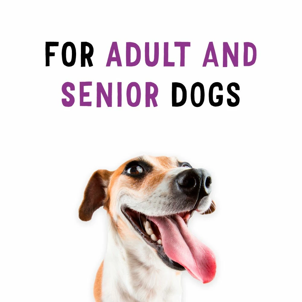 Purina Beggin' Strips Bacon Flavor Dog Treats, 25 oz. Pouch 12 Purina Beggin' Strips Bacon Flavor Dog Treats, 25 oz. Pouch - Image 10