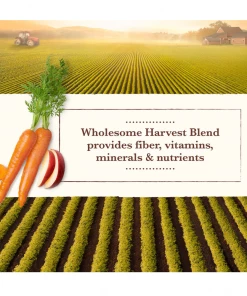 Whole Earth Farms Small Breed Recipe Chicken Dinner, 3.5 oz. Can - Wet Dog Food -Pets & Wildlife Sales Store 42be534e068bc8160411f4bd0bfdcbf37d2a9ef4 13735723 5