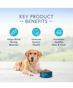 Blue Buffalo Life Protection Formula Adult Dog, Beef & Rice Recipe, 30 lb. Bag - Dry Dog Food -Pets & Wildlife Sales Store 43245956291ade76a182a72c72e3f6e70c60c64b 2022010471 4