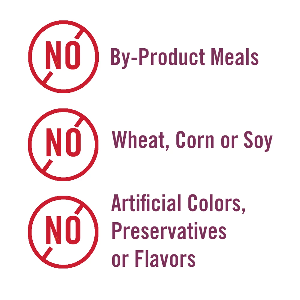 Chicken Soup for the Soul Classic Dog - Beef Recipe, Pate Canned Wet Dog Food, 13 oz. Can 8 Chicken Soup for the Soul Classic Dog - Beef Recipe, Pate Canned Wet Dog Food, 13 oz. Can - Image 6