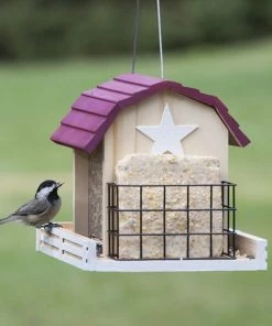 Woodstream Perky-Pet Star Barn Wood Chalet Bird Feeder - 50181 - Wild Bird Feeders 10 Woodstream Perky-Pet Star Barn Wood Chalet Bird Feeder - 50181 - Wild Bird Feeders -Pets & Wildlife Sales Store 436fd931189cac42312041db4c4d6a2223ec9899 80331867 4
