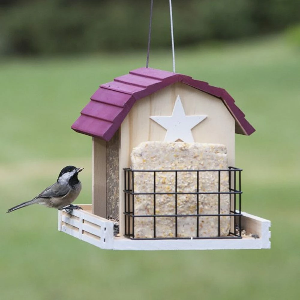 Woodstream Perky-Pet Star Barn Wood Chalet Bird Feeder - 50181 - Wild Bird Feeders 6 Woodstream Perky-Pet Star Barn Wood Chalet Bird Feeder - 50181 - Wild Bird Feeders - Image 4