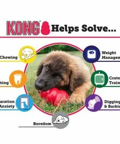 Kong®Extreme Lg - Dog Toys -Pets & Wildlife Sales Store 46d0bafb6566e818dab3919e1ee8843a5f23bff5 a13880d986996dbbe9bc3ce17f9e2aae6dbd0f9a 39770042 3