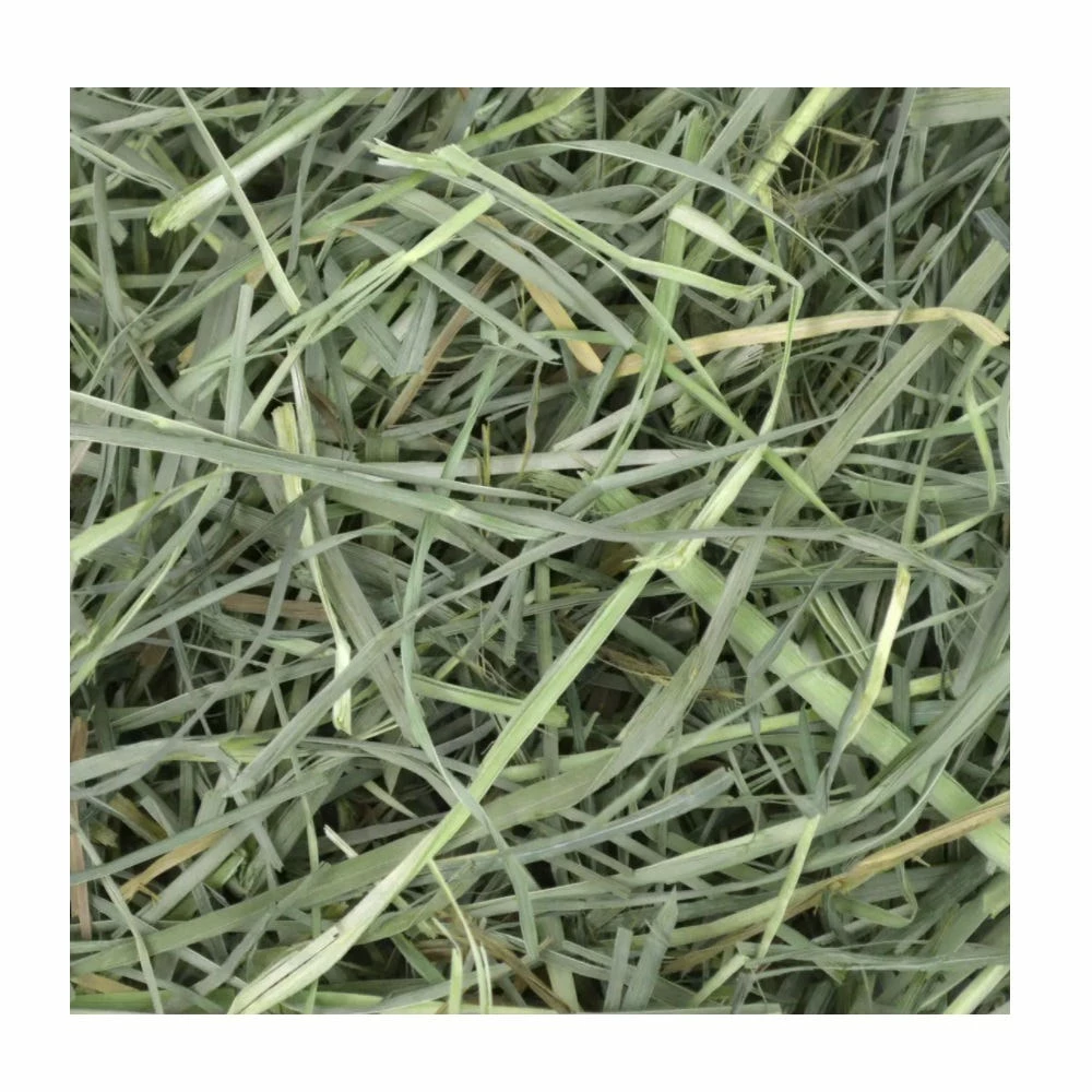Oxbow Orchard Grass Hay, 15 oz. - Small Animal Feed & Treats 4 Oxbow Orchard Grass Hay, 15 oz. - Small Animal Feed & Treats - Image 2