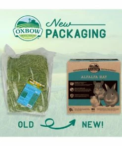 Oxbow Alfalfa Hay for Small Animals, 9 lb. - Small Animal Feed & Treats -Pets & Wildlife Sales Store 4774a0424395dbec8f0e6ae2395b602f882d2f9f 667980003 2