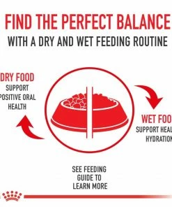 Royal Canin Adult Advanced Nutrition for Adult Dogs, 13.5 oz. Can - Wet Dog Food -Pets & Wildlife Sales Store 47bddfe591acae2f35bf0ec64f12e20b6d4d5dd2 55682025 3
