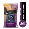 Various Brands Black Oil Sunflower Seeds, 40 lb. Bag - Bird Seed & Food -Pets & Wildlife Sales Store 47be1b7e422d7eb3c84a7b12162b0cf936be38d7 670100460.1