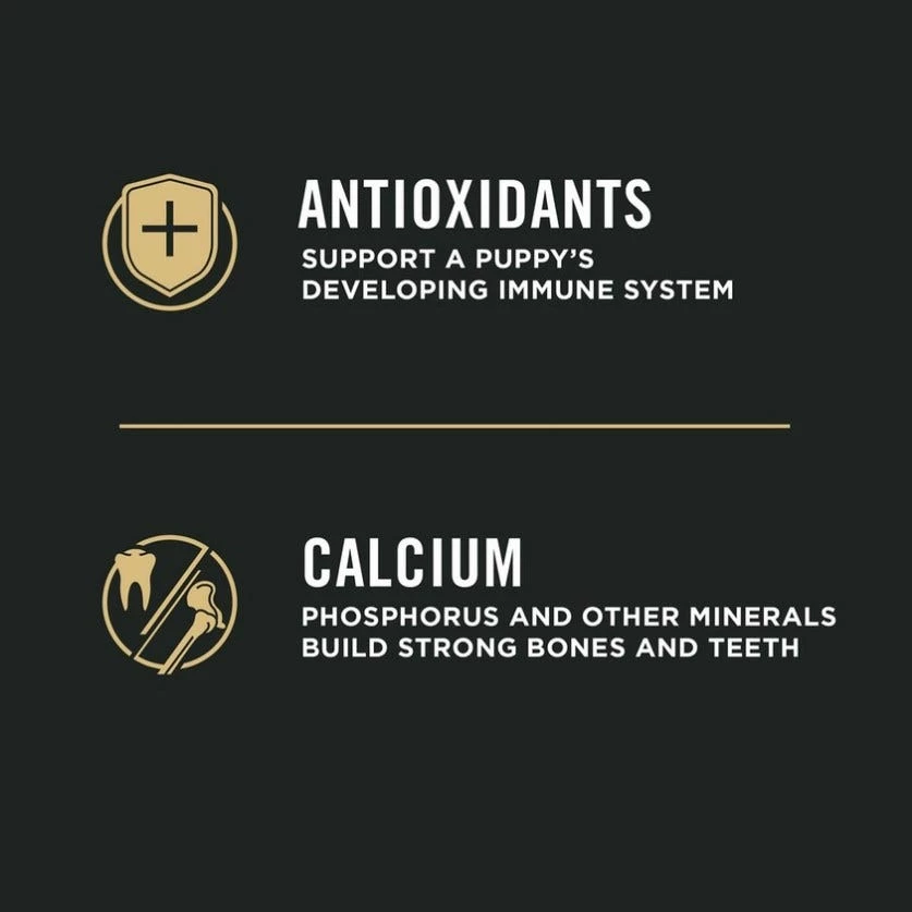 Purina Pro Plan Chicken & Rice Formula Large Breed Dry Puppy Food, 47 lb. Bag - Dry Dog Food 8 Purina Pro Plan Chicken & Rice Formula Large Breed Dry Puppy Food, 47 lb. Bag - Dry Dog Food - Image 6