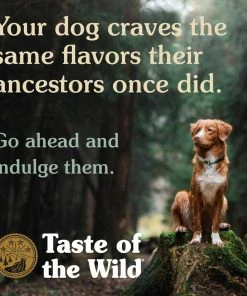 Taste of the Wild Southwest Canyon Canine Recipe with Beef in Gravy, 13 oz. Can - Wet Dog Food -Pets & Wildlife Sales Store 48c8f2ba93272a2531a6ec5cbf0fb1b20e165a2a 60611021 4