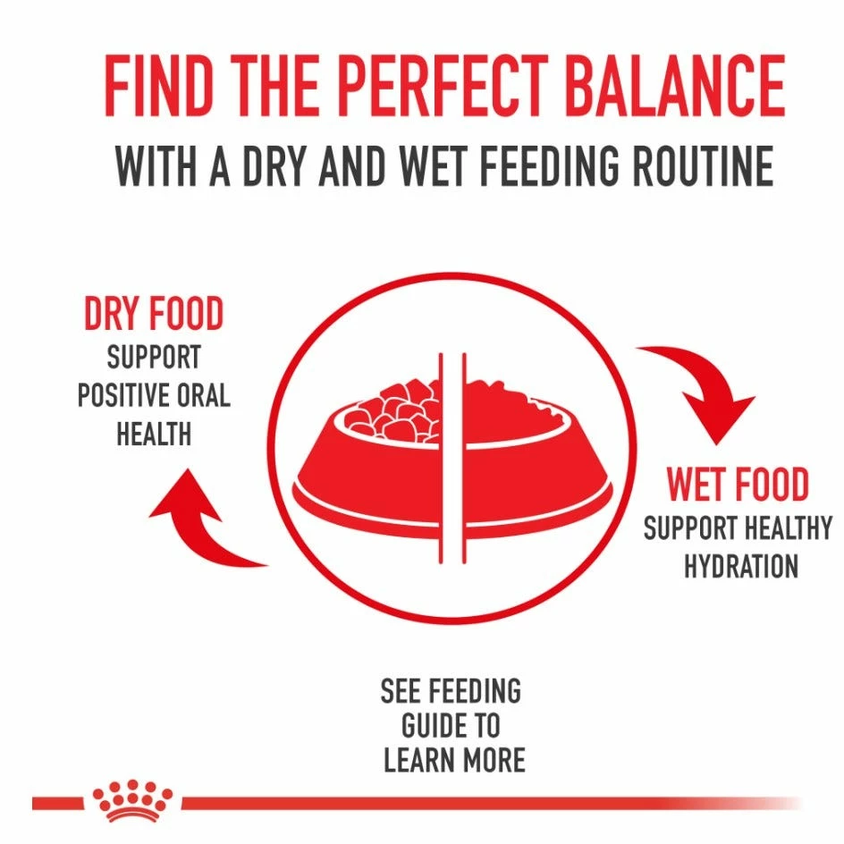 Royal Canin Size Health Nutrition Medium Adult Dry Dog Food, 30 lb. Bag 3 Royal Canin Size Health Nutrition Medium Adult Dry Dog Food, 30 lb. Bag