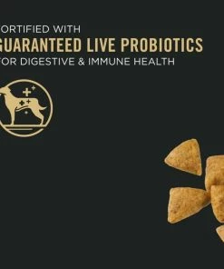 Purina Pro Plan Small Breed Chicken & Rice Formula Adult Dry Dog Food, 6 lb. Bag -Pets & Wildlife Sales Store 49df4c14a27b3a511b608924c32781df1e7430e2 42041292 6