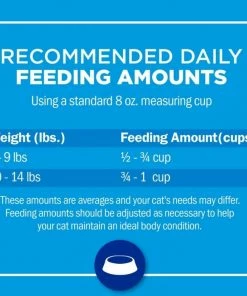 Purina Cat Chow Dry Cat Food Complete, 15 lb. Bag -Pets & Wildlife Sales Store 4bee7e98b00d938cac1ffefaf90df930f6a6f4de 42040031 4