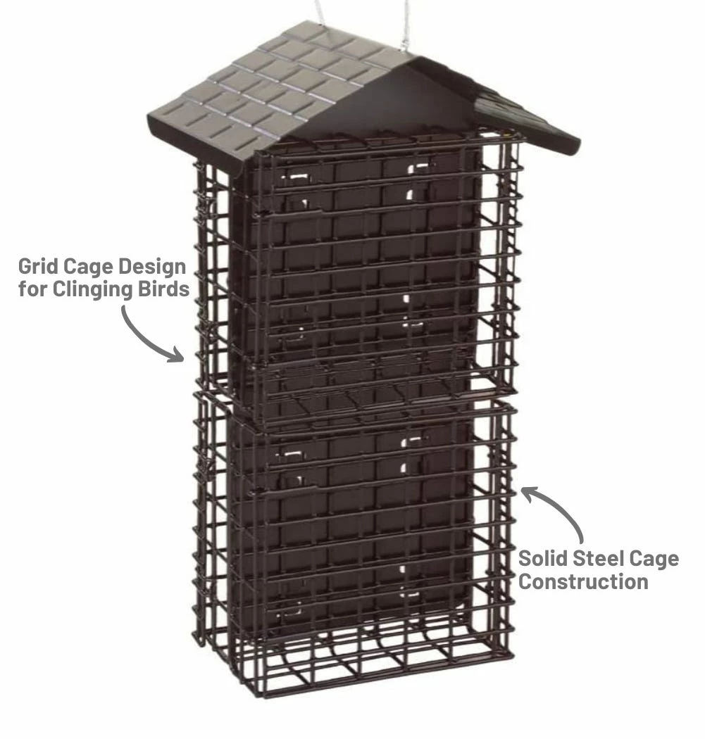 More Birds Four Cake Suet Buffet with Weather Guard - 38129 - Wild Bird Feeders 5 More Birds Four Cake Suet Buffet with Weather Guard - 38129 - Wild Bird Feeders - Image 3
