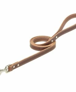 Weaver Leather Western Edge Dog Leash - 3/4 Inch x 4 Foot - 06-2094-4 - Dog Collars & Leashes