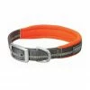 Terrain D.O.G. Reflective Neoprene Lined Dog Collar 13", Dark Gray/Orange - 07-0860-R15-13 - Dog Collars & Leashes 1 Terrain D.O.G. Reflective Neoprene Lined Dog Collar 13", Dark Gray/Orange - 07-0860-R15-13 - Dog Collars & Leashes -Pets & Wildlife Sales Store 4d3ca5f1b554a0ac83df6ab8babaaa00288155cd 67531443
