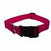 Scott Pet Adjustable Collar - 1428SFLG - Dog Collars & Leashes -Pets & Wildlife Sales Store 4dfaa1c83c34df27c51442ccdf646397c68fcb9e 20809061