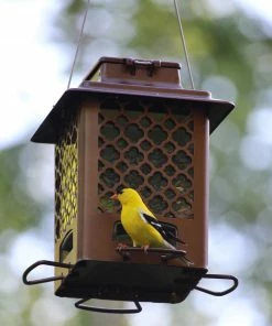 More Birds Metal Hopper Bird Feeder - 105 - Wild Bird Feeders 7 More Birds Metal Hopper Bird Feeder - 105 - Wild Bird Feeders -Pets & Wildlife Sales Store 4eb69bbb4c39264567cc9240341aa48a2759a64c 146330271 alt2