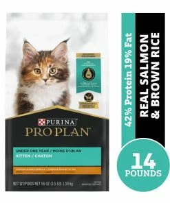 Purina Pro Plan with Probiotics High Protein Chicken & Rice Formula Dry Kitten Food, 3.5 lb. Bag - Dry Cat Food