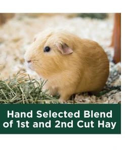 Kaytee Timothy Hay Plus, Carrots, 24 oz. Bag - 100502648 - Rabbit Feed -Pets & Wildlife Sales Store 4f038e15cb4c7f7459834a8edb245683a75efbfa 14583109 8